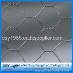 Hot dipped galvanized hexagonal wire mesh