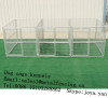 Welded wire dog kennel metal dog kennels waterproof dog kennels