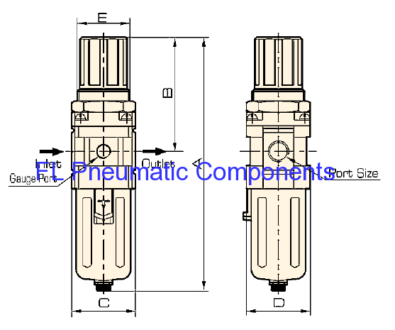 AW5000-10 Air Filter and Regulator