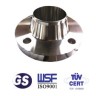 ANSI B16.5 weld neck flange for high pressure