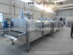 1000kg/hour tunnel liquid nitrogen quick freezer