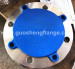 Duplex steel blind flange