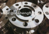 Tongue and groove weld neck flange