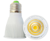 Pure White LED 7W COB Spotlight