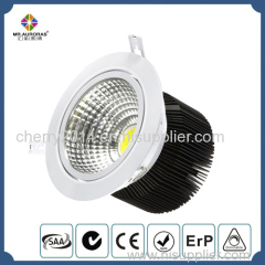 160mm 30W COB LED Down Light