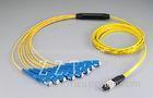 Single Mode MPO MTP Patch Cord Cable Assemblies With IEC-61754-7