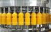 ISO / CE Approved Pulp Juice Filling Machine , Beverage Bottling Plant for PET Bottle