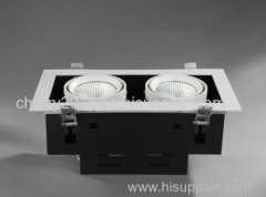 2X10W High Power LED Grid Light
