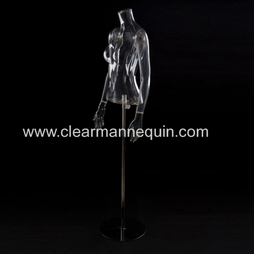 Female headless transparent torsos mannequin