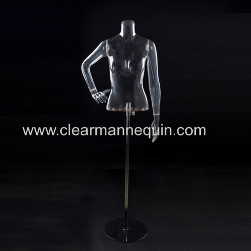Transparent models female half body