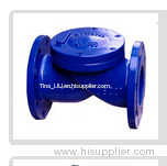 check valves & check valves