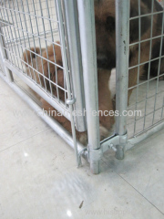 Hot-dipped galvanized Dog kennel welded wire