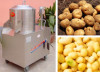 High capacity vegetable washing machine