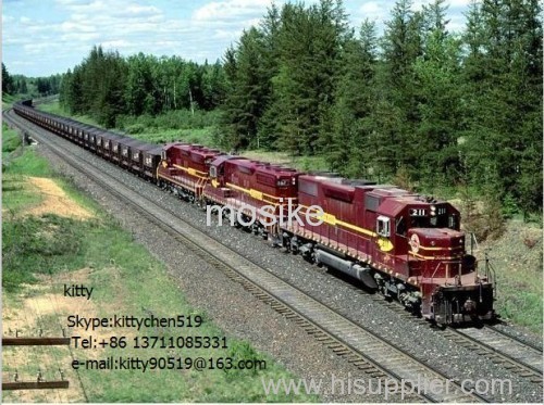 Russian Exhibitions Transport Line Dual clearance logistic