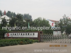 Laiwu  Manhing Foods Co.,LTD