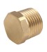 Brass Male Thread Plug/Brass Fittings