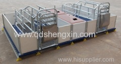 PVC Rail Elevated Double Farrowing Crate for Pigs