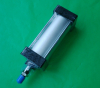 SC40X100 Standard Air Cylinder