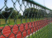 Chain Link Fence(PVC&Galvanized)using for House Garden fronts and divisions, Children's Playgrounds, Playing Fields