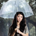 auto open apollo shape transparent umbrella