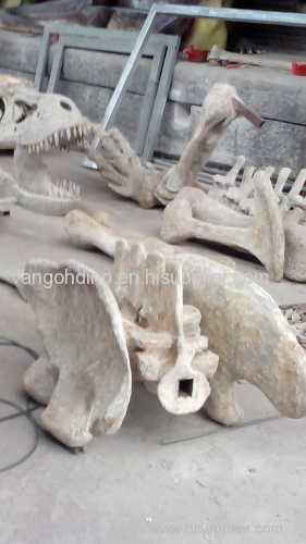 indoor exhbits dinosaur skeleton model