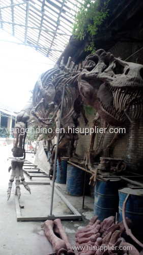 life size dinosaur skeleton model