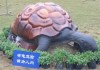 theme park decoration turtle statue