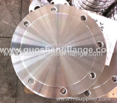 F51 /S31803/2205 blind flange