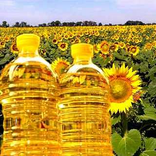 Sunflower Oil Export Ukraine