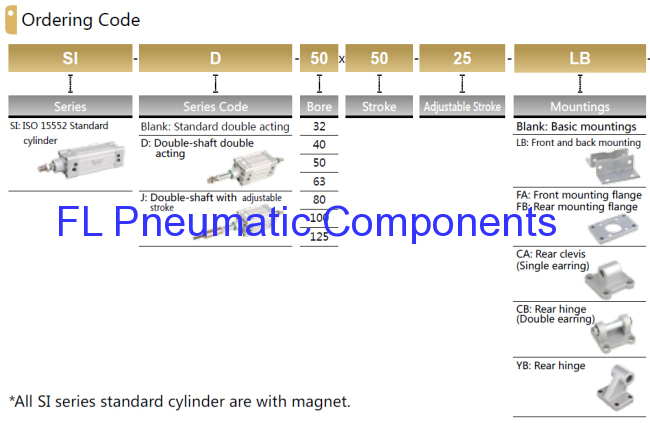 SI50X100 Standard Air Cylinders