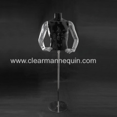 Black and transparent PC torso mannequins