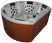 USA clear acrylic bathtub round outdoor spa swim pool spa
