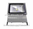 100W Garden Brightest Outdoor LED Flood Lights , CE IP66 COB LED flood lights fixtures
