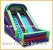 Pirate Waterproof Commercial Inflatable Slides with logo, banner painting