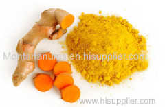 Fresh Turmeric - High Quality and Competitive Price