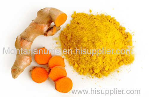 Fresh Turmeric - High Quality and Competitive Price