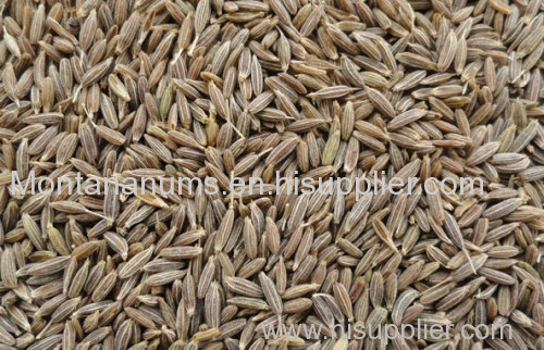Cumin Seeds in stock for good price