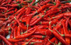 Hot Red Chilli good price .