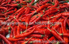 Hot Red Chilli good price .