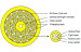 Multi-fiber unitized distribution cable