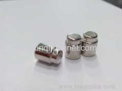 Neodymium special cylinder Nickle magnets