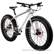 2014 - Charge Cooker Maxi Fat Bike