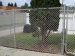 Galvanized Chain Link Fence