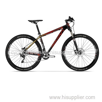 2014 - Devinci Wooky XP 29er Mountain Bike