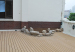 146*32mm outdoor hollow wpc decking/wood plastic composite decking