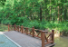 wpc floorings/garden wpc decking/solid outdoor wpc deck