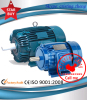 IEC STANDARD THREE PHASE INDUCTION MOTOR