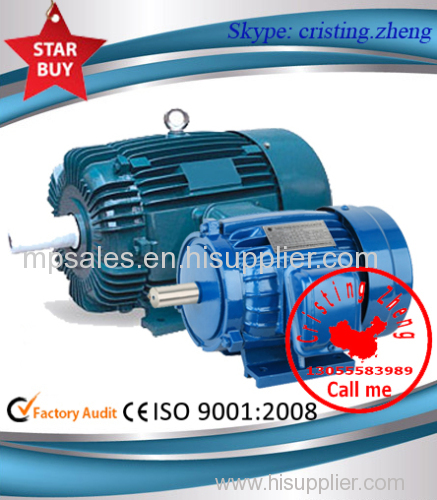 AEEF IEC STANDARD THREE PHASE INDUCTION MOTOR