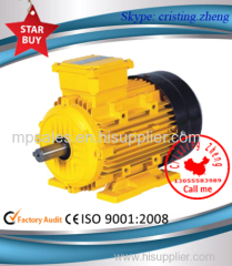 Three Phase Aluminum Housing Motor