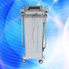 Non-Invasive Cryolipolysis Slimming Machine / Fat Freeze Slimming Machine